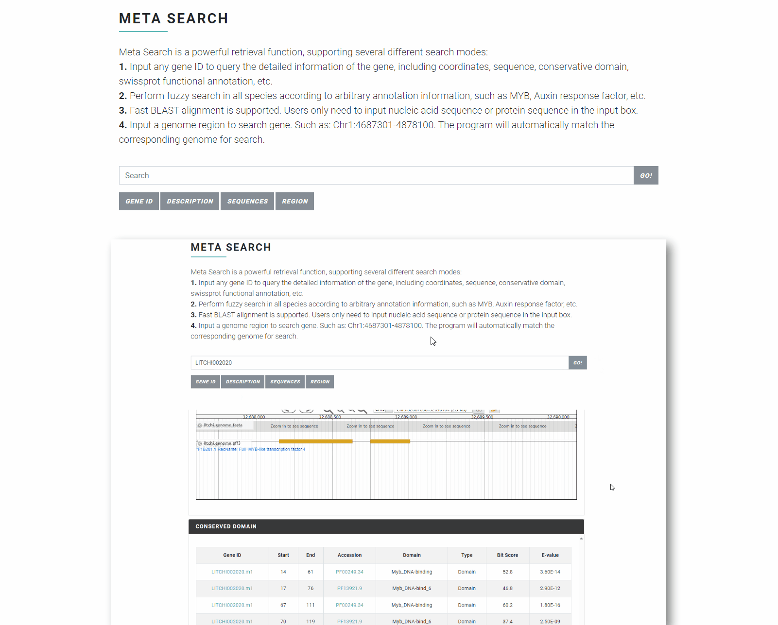 meta_search_mode2