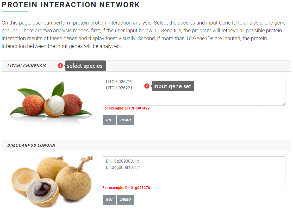 PPI_input_demo