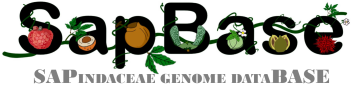 XIALAB logo