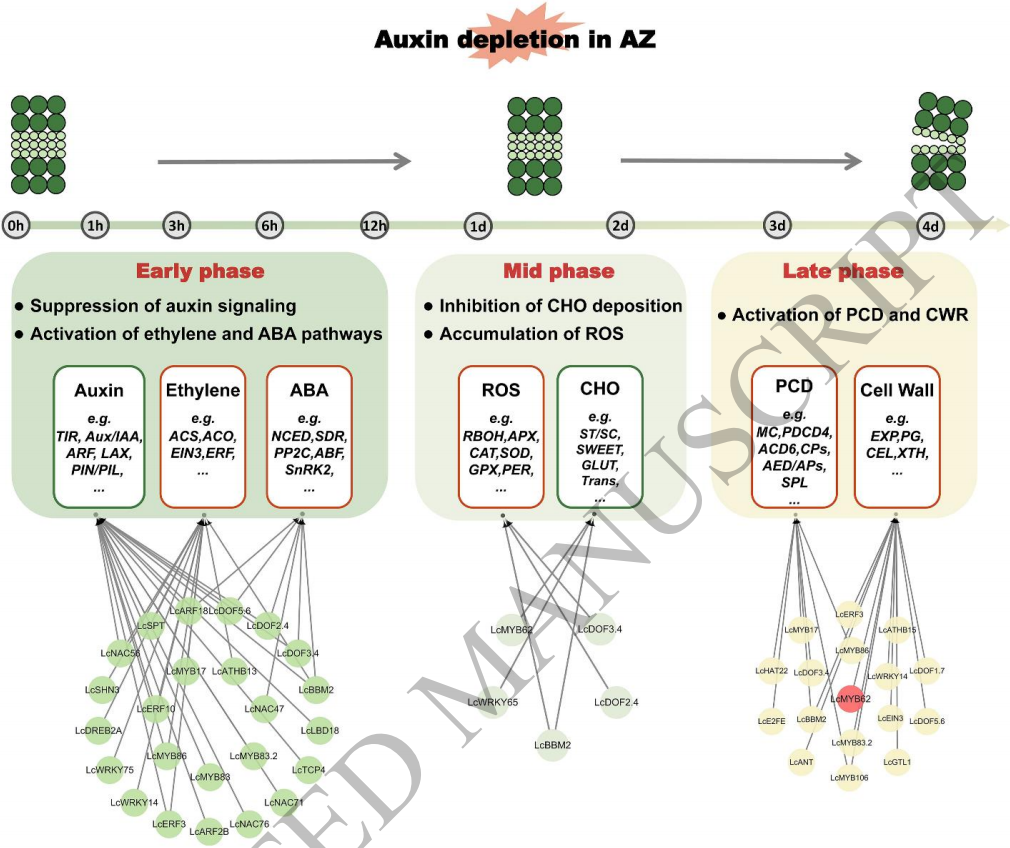 plphys2026-fig9